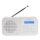 Radioodtwarzacz Denver Kompaktowe radio DAB+/FM Denver DAB-42 białe